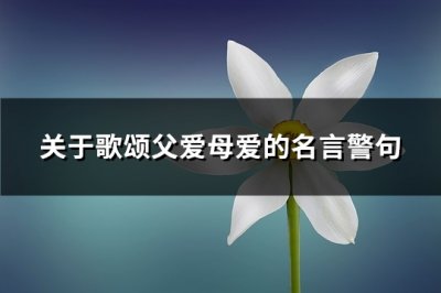 ​关于歌颂父爱母爱的名言警句(热门64句)