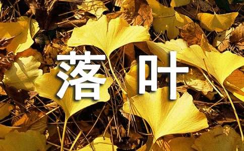 歌颂落叶的现代诗（精选5首）