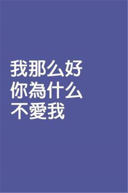 花坛里的标语八个字