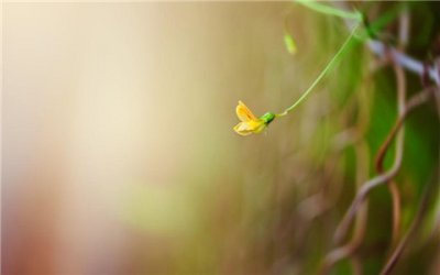 ​医院形象宣传标语