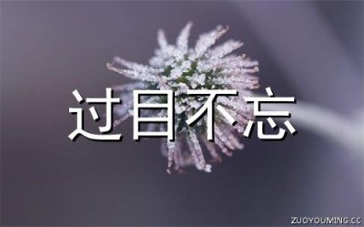 ​早上好经典句子